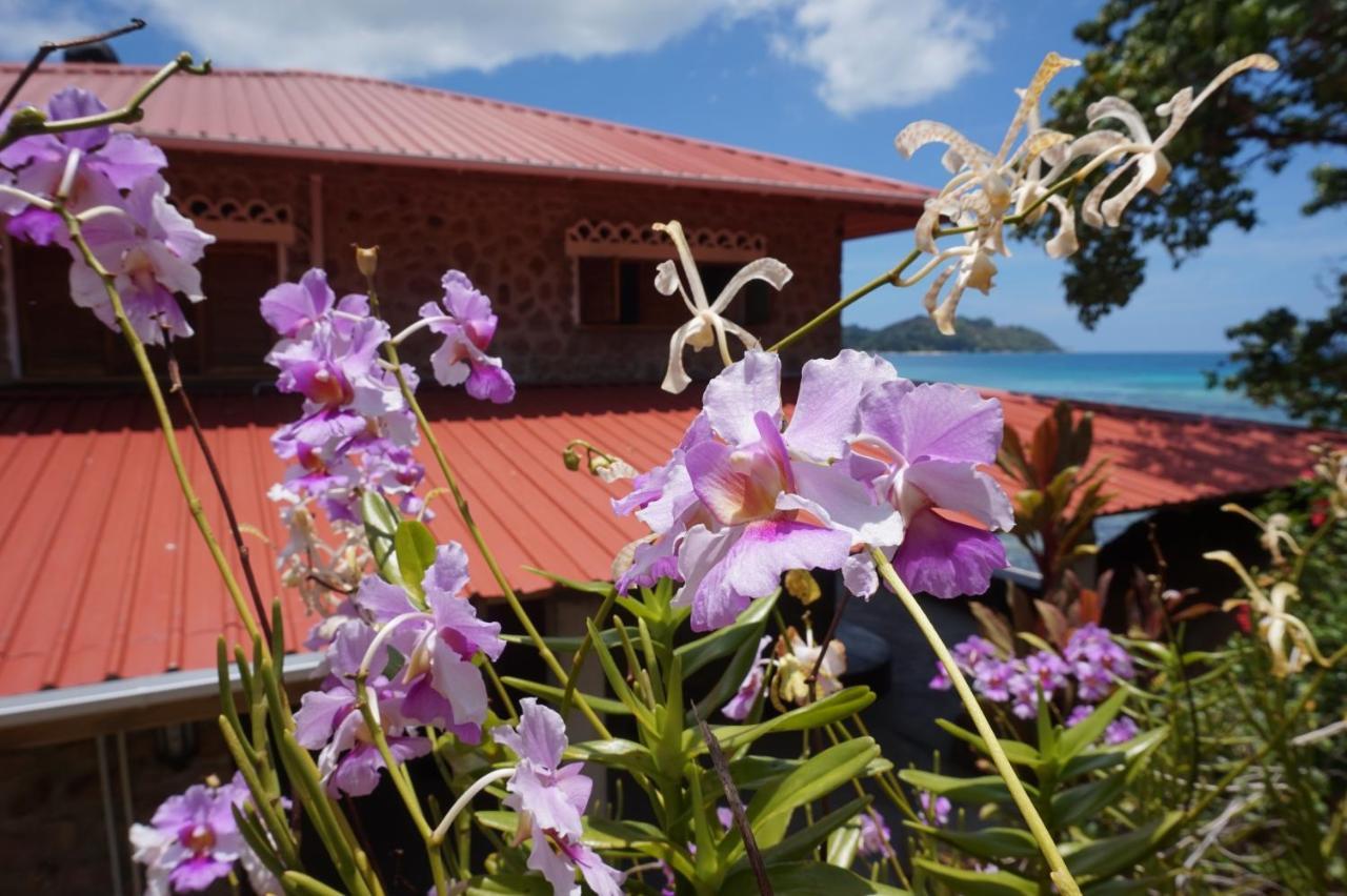 La Saline Anse Volbert Village Exterior foto
