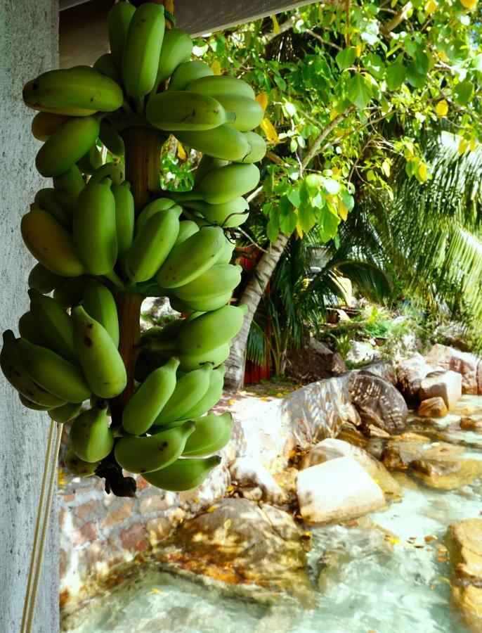 La Saline Anse Volbert Village Exterior foto